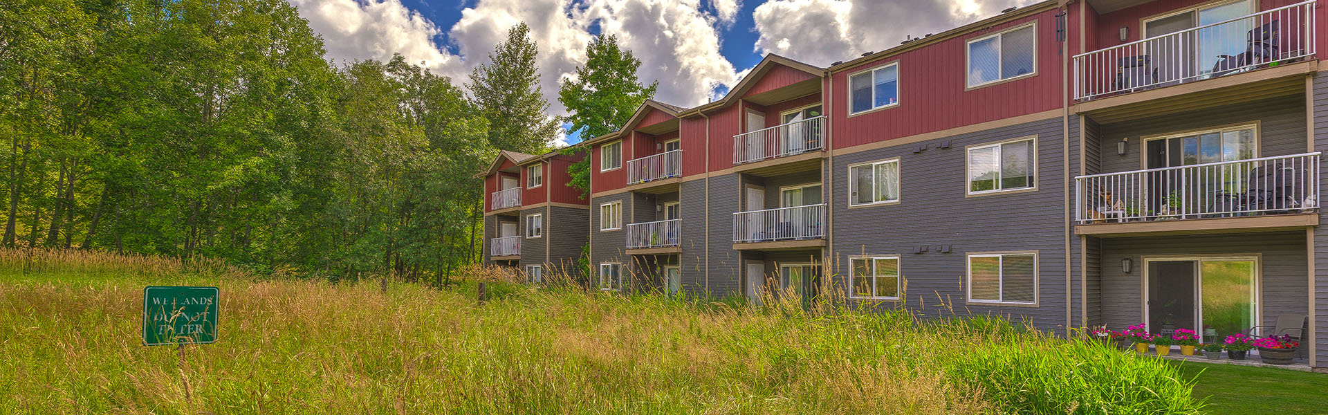 THE TIMBERS BY VINTAGE Apartment and Community Amenities